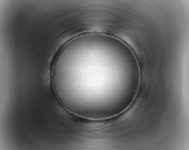X0000088751075200706071715