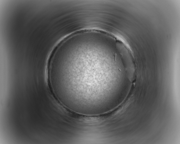 X0000088751076200706071715