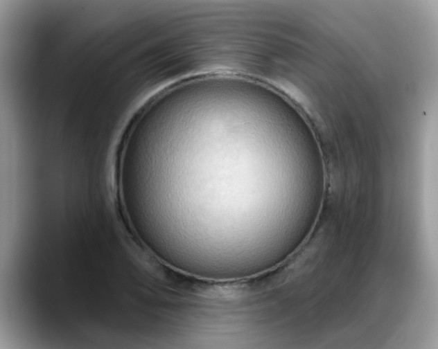 X0000088751078200706071715