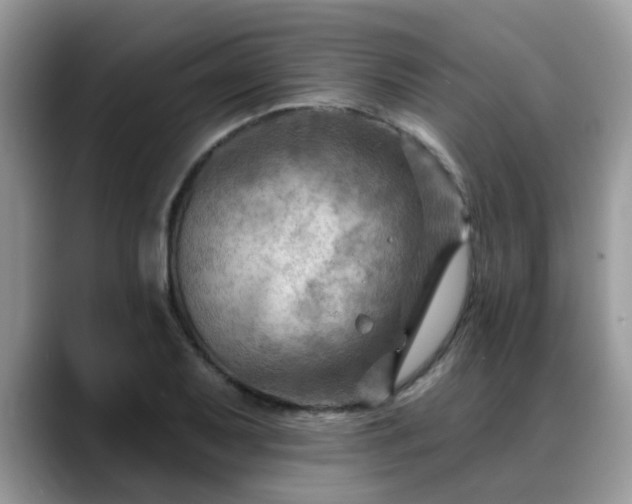 X0000088751079200706071715