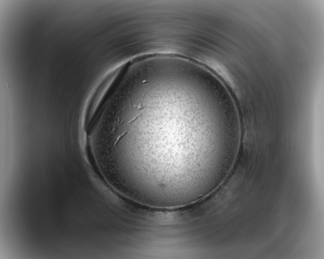 X0000088751080200706071715