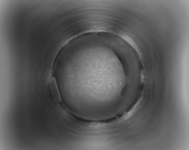 X0000088751081200706071715