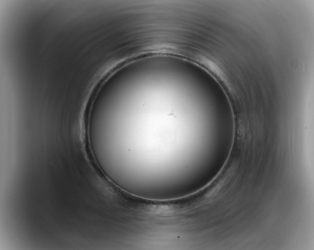 X0000088751082200706071715