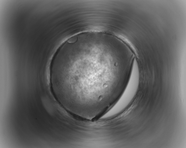 X0000088751083200706071715