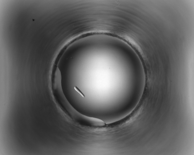 X0000088751085200706071715