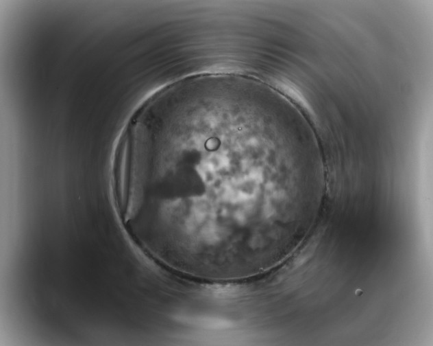 X0000088751087200706071715