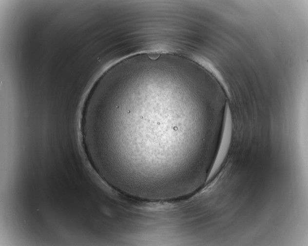 X0000088751091200706071715