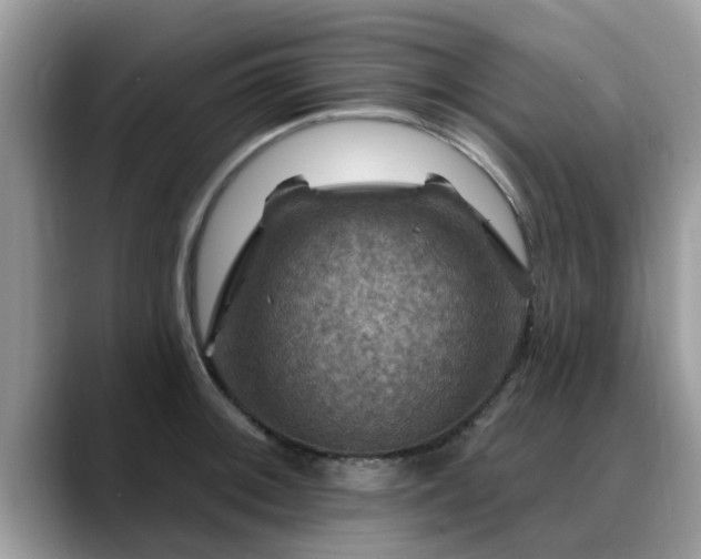 X0000088751092200706071715