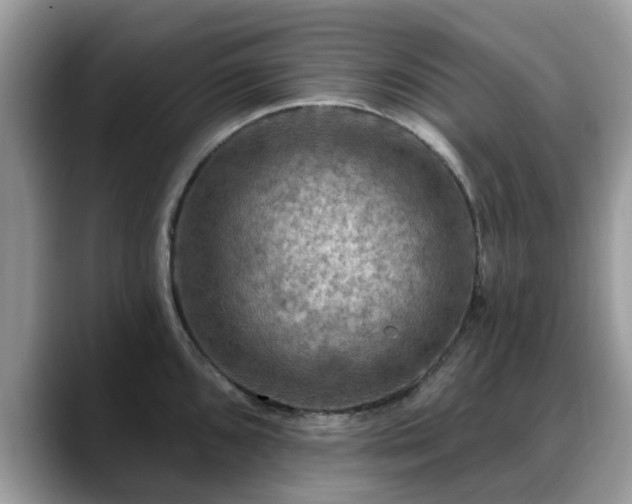 X0000088751096200706071715