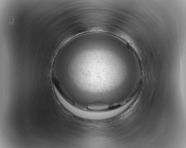 X0000088751097200706071715