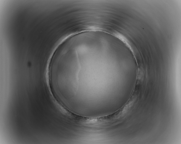 X0000088751098200706071715