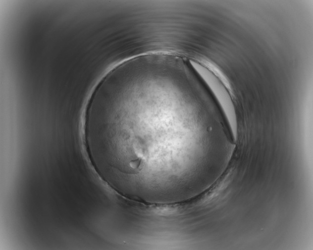 X0000088751099200706071715