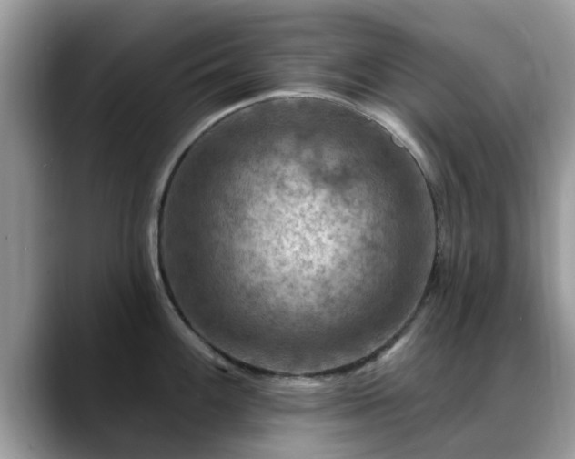 X0000088751100200706071715