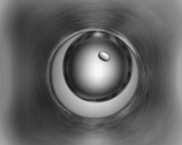 X0000088751101200706071715