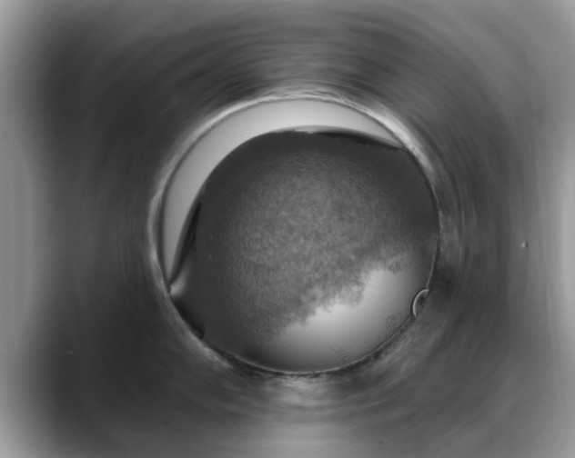 X0000088751102200706071715