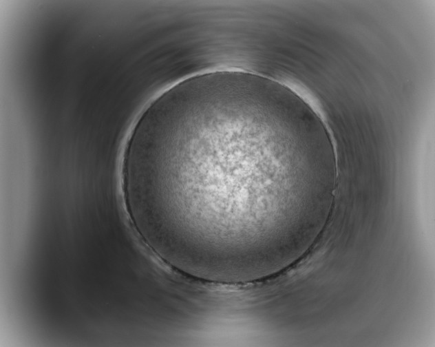 X0000088751104200706071715