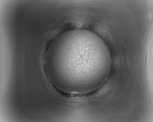 X0000088751105200706071714
