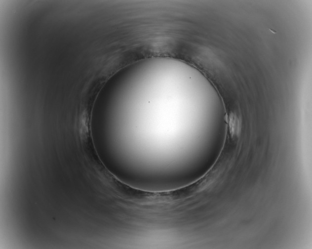 X0000088751107200706071714
