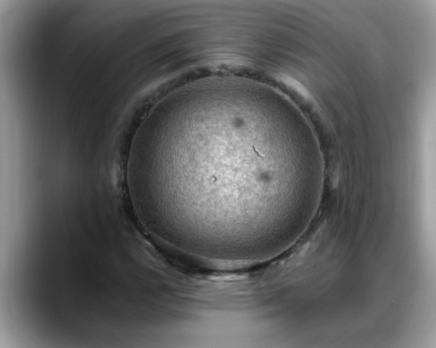 X0000088751112200706071715