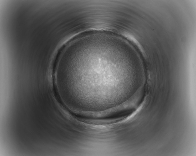 X0000088751114200706071715