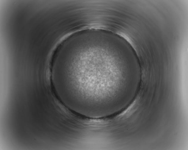 X0000088751115200706071715