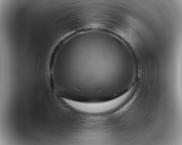 X0000088751117200706071715