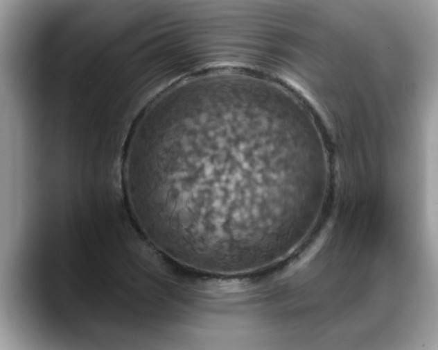 X0000088751121200706071715