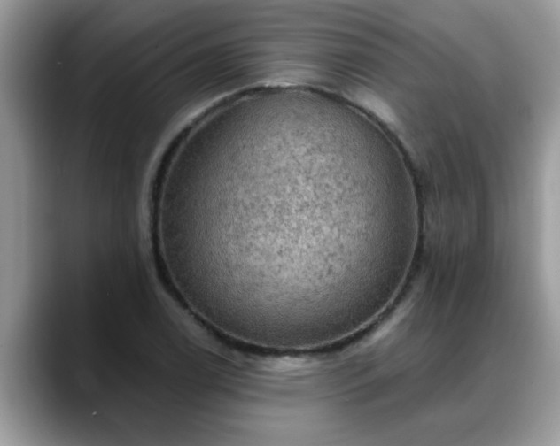 X0000088751122200706071715