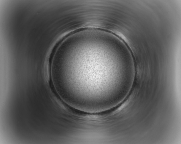 X0000088751123200706071715