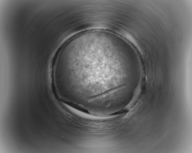 X0000088751124200706071715