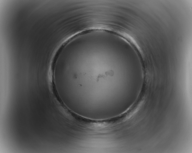 X0000088751125200706071715