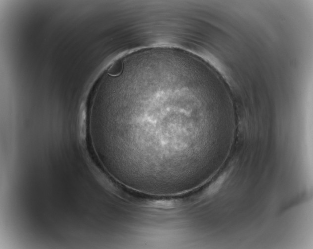 X0000088751126200706071715