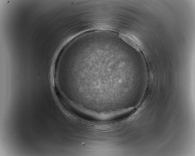 X0000088751128200706071715