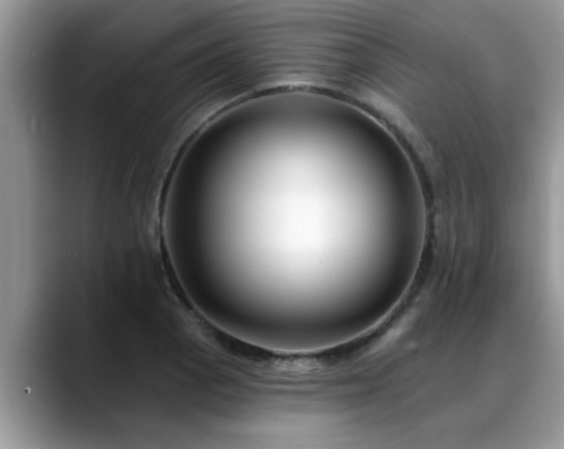 X0000088751129200706071715