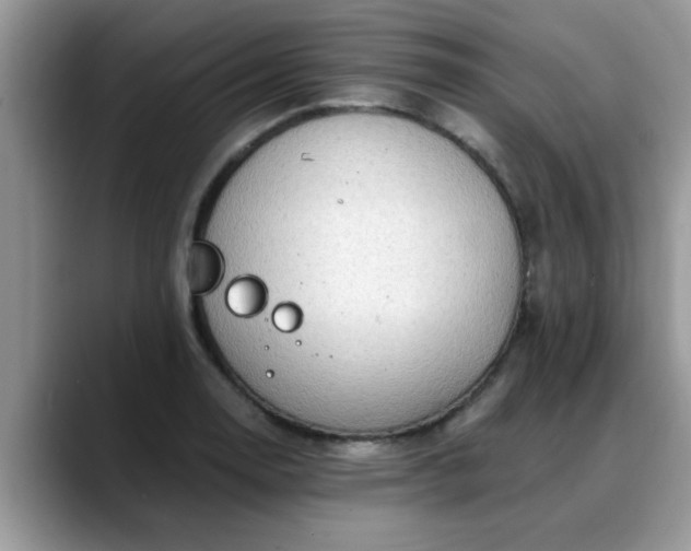 X0000088751130200706071715