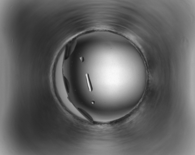 X0000088751133200706071715