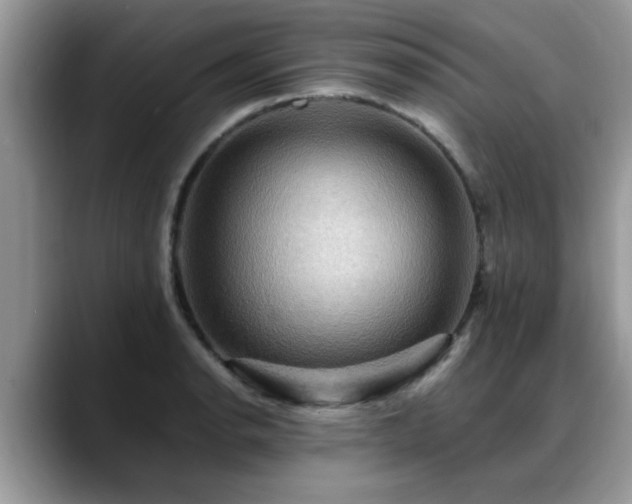 X0000088751134200706071715