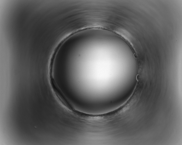 X0000088751135200706071715