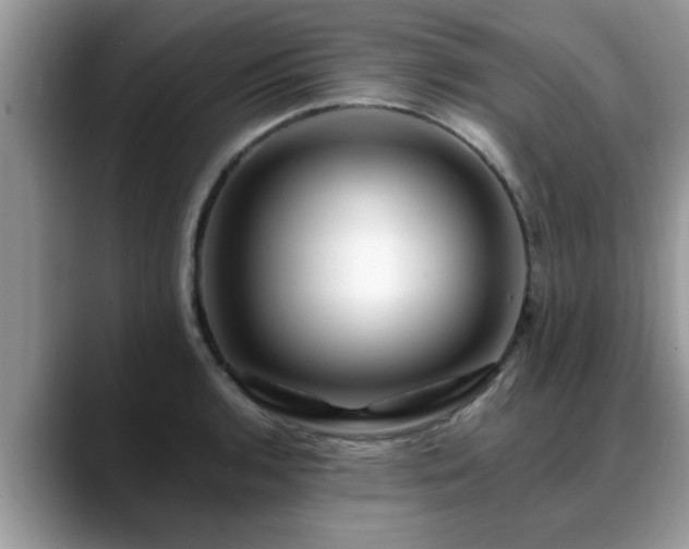 X0000088751136200706071715