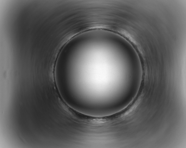 X0000088751137200706071715