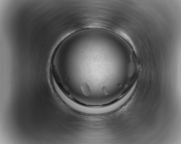 X0000088751138200706071715