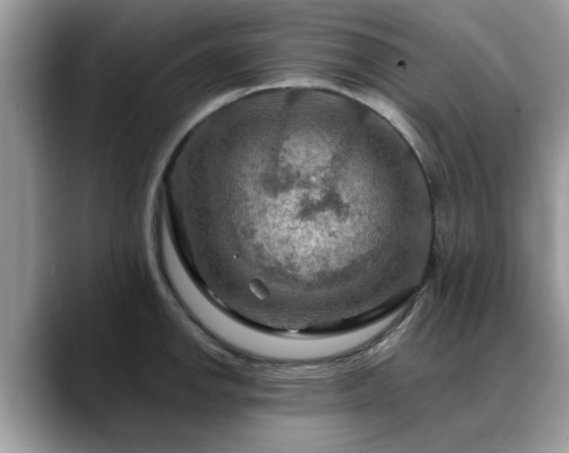 X0000088751142200706071715