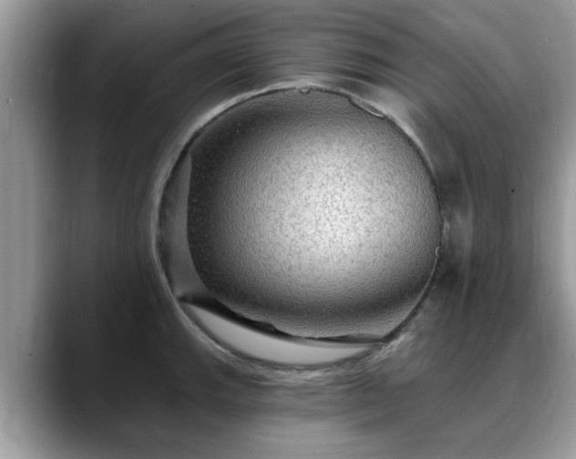 X0000088751143200706071715