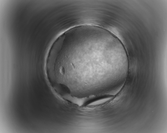 X0000088751144200706071715