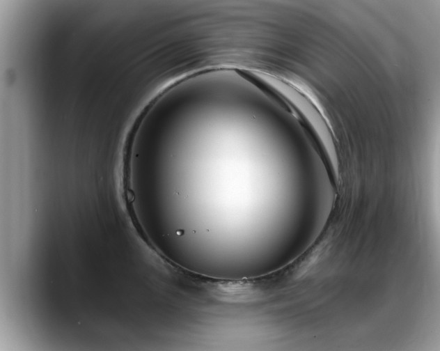 X0000088751147200706071715