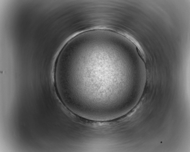 X0000088751148200706071715