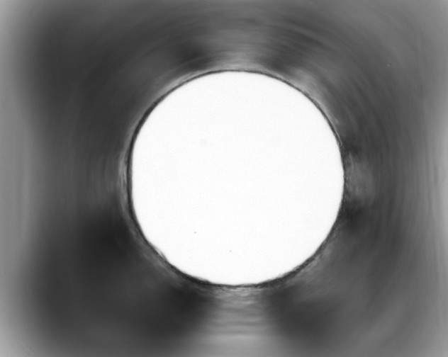X0000088751150200706071715
