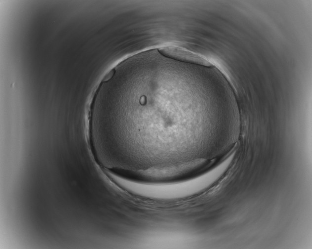 X0000088751151200706071715