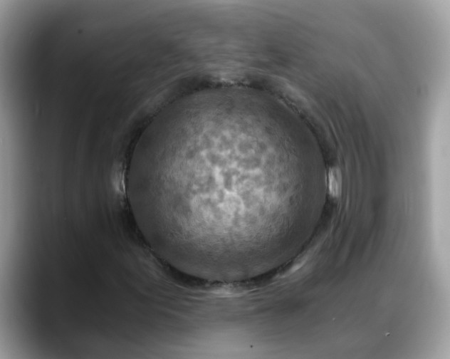 X0000088751155200706071714