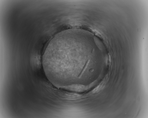 X0000088751156200706071714